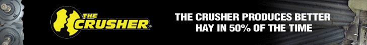 The Crusher The Crusher