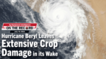 Hurricane-Beryl-Leaves-Extensive-Crop-Damage-in-its-Wake-.png
