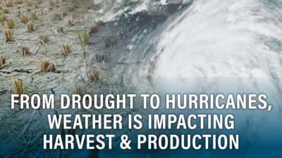 From Drought to Hurricanes, Weather is Impacting Harvest & Production