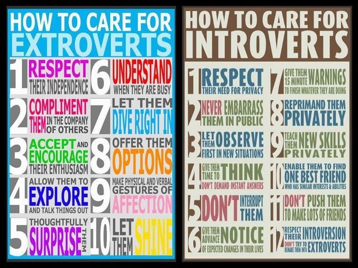 IntrovertsExtroverts