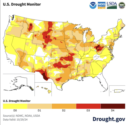 US Drought Monitor image.png